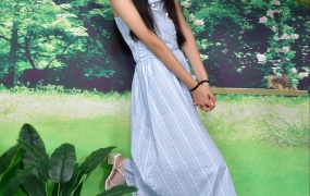 047/琳琳~《惬意时光》假装在椰树下度个假吧。