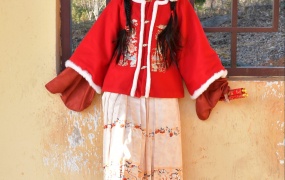 052/小九~《喜迎新年》祝大家新的一年红红火火。