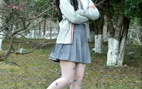 086/小九~《蝶舞梅间》蓝蝶舞梅间,春景绘绮梦。