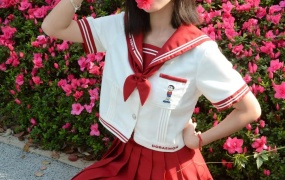 131/小朱~《春日限定》杜鹃花开时,拥抱春日的鲜活与热烈。