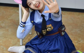 209/星星~《兔警在此》兔子警官上线,可爱但不好惹哦。